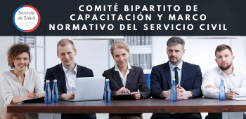Comité Bipartito de Capacitación y Marco Normativo del Servicio Civil - SSMS