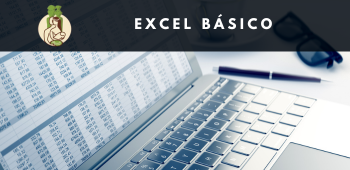Excel Básico - H. Carahue