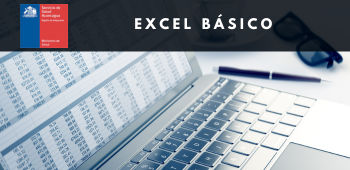 Excel Básico Curso 2 - SSAc